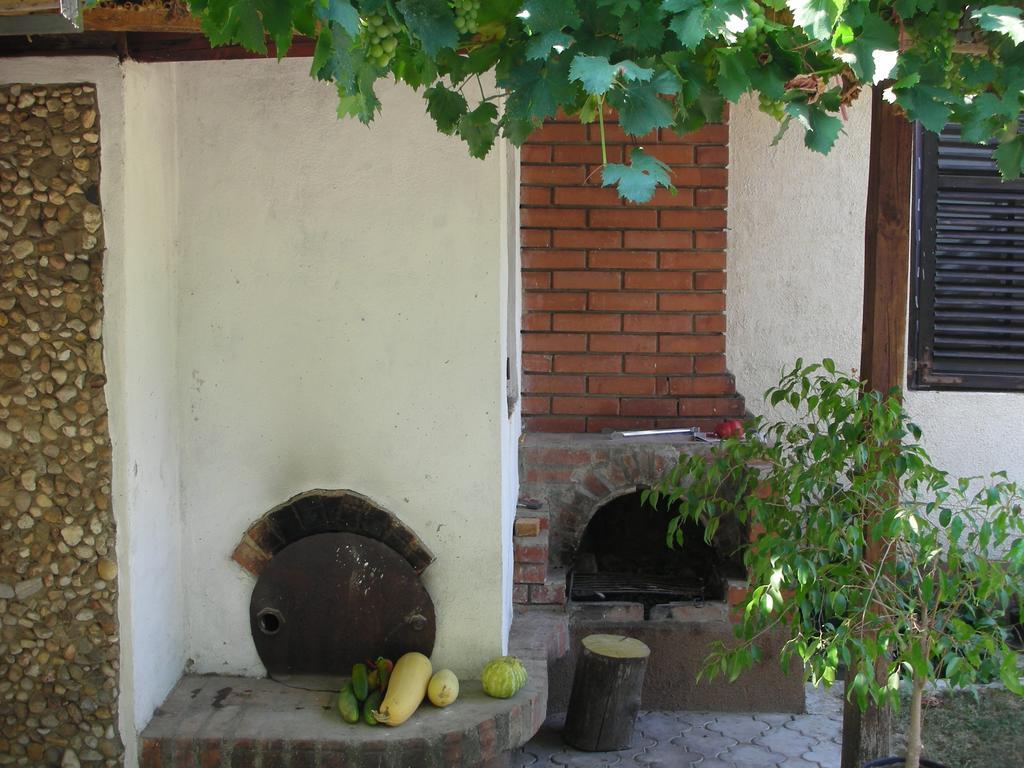 Przic House Negotin Exterior foto